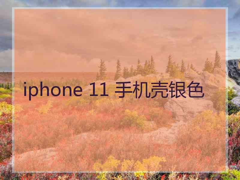 iphone 11 手机壳银色