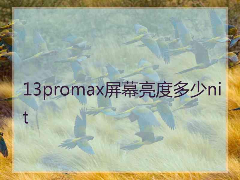 13promax屏幕亮度多少nit