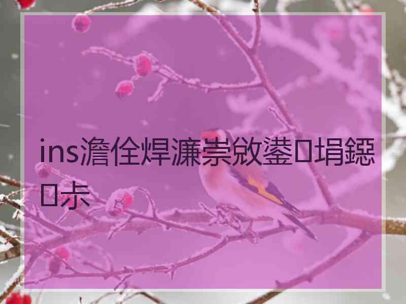 ins澹佺焊濂崇敓鍙埍鐚尗