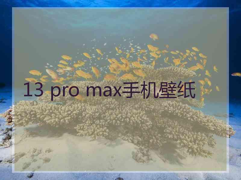 13 pro max手机壁纸