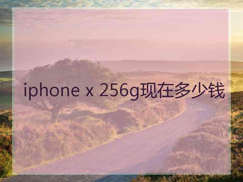 iphone x 256g现在多少钱