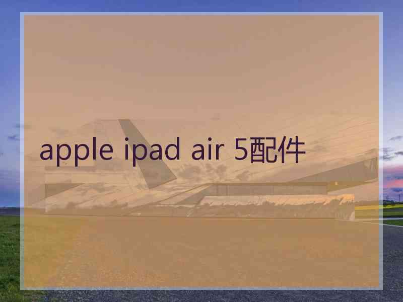 apple ipad air 5配件