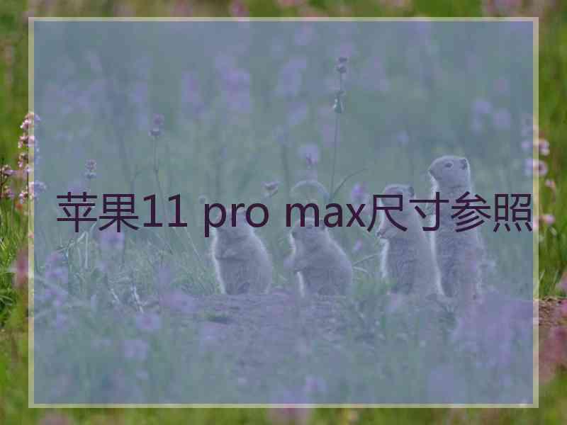 苹果11 pro max尺寸参照