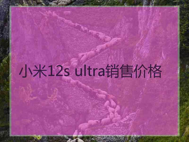 小米12s ultra销售价格