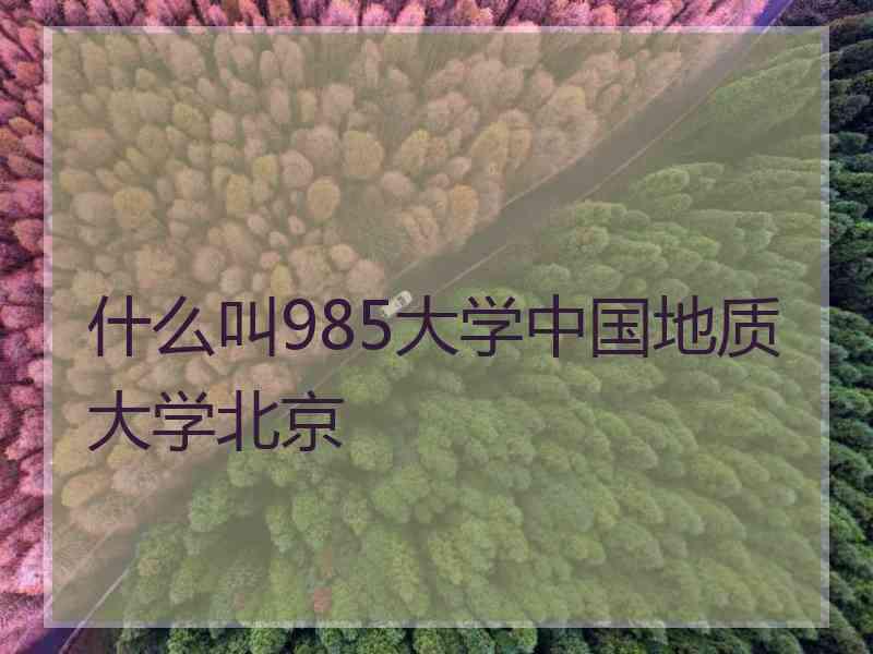 什么叫985大学中国地质大学北京