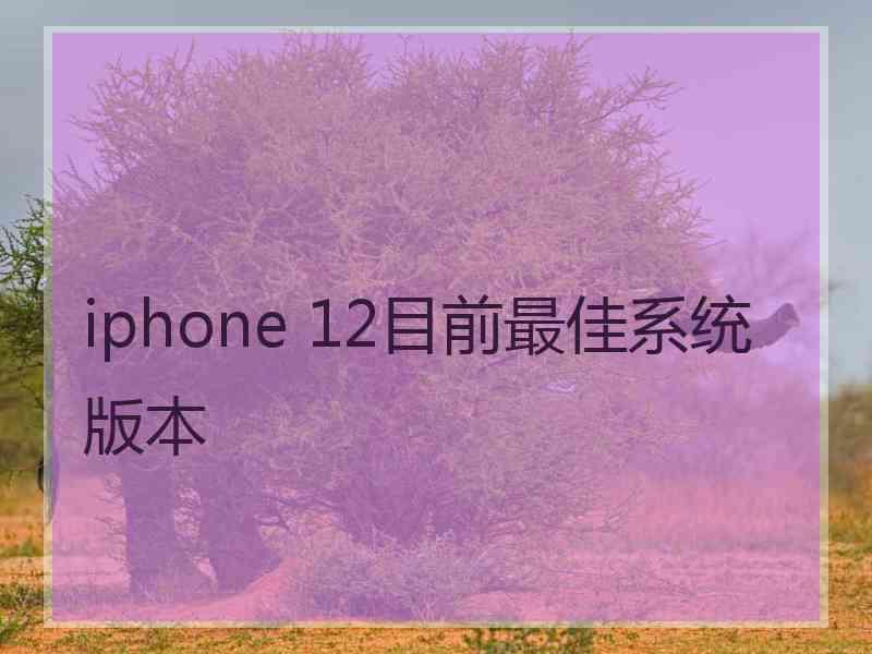 iphone 12目前最佳系统版本