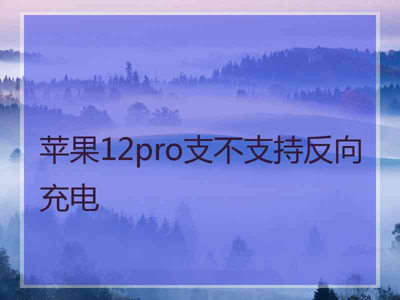 苹果12pro支不支持反向充电