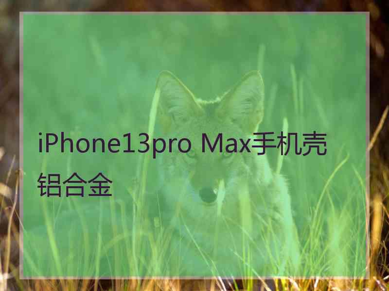 iPhone13pro Max手机壳铝合金