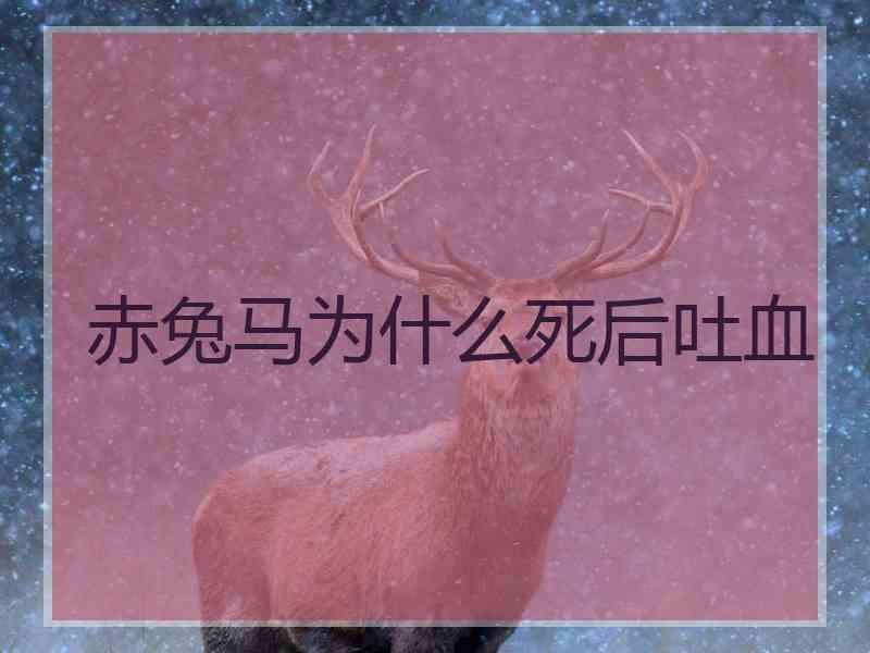 赤兔马为什么死后吐血