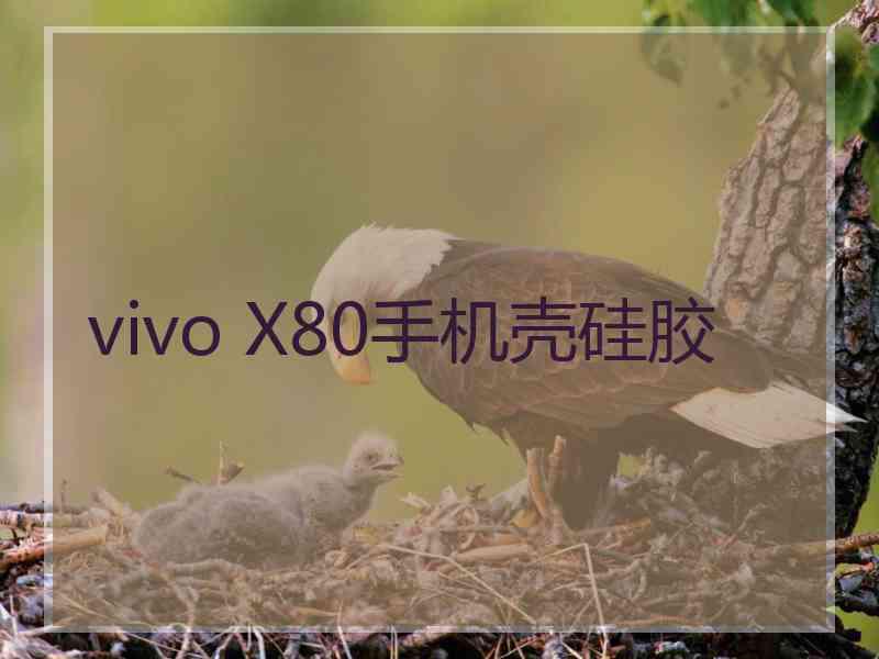 vivo X80手机壳硅胶