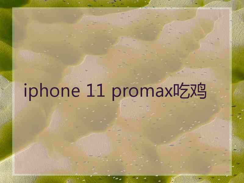 iphone 11 promax吃鸡