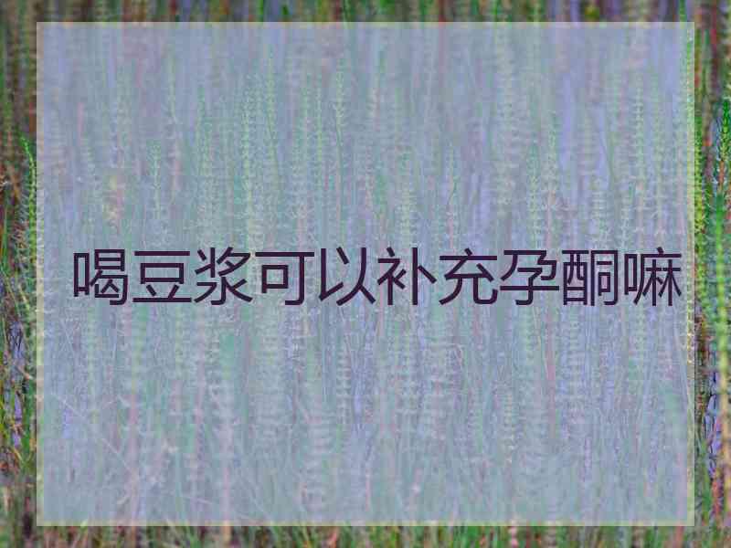 喝豆浆可以补充孕酮嘛