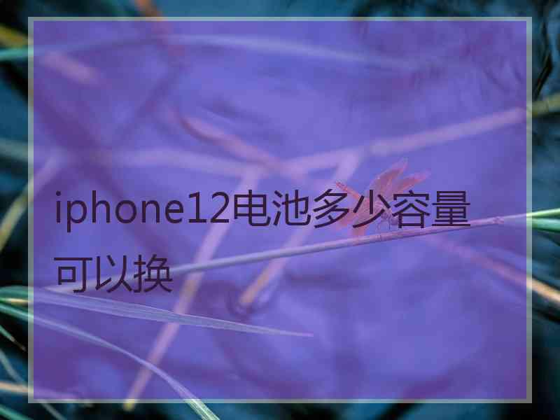 iphone12电池多少容量可以换