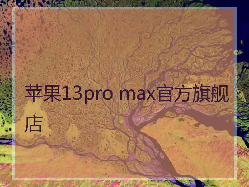 苹果13pro max官方旗舰店