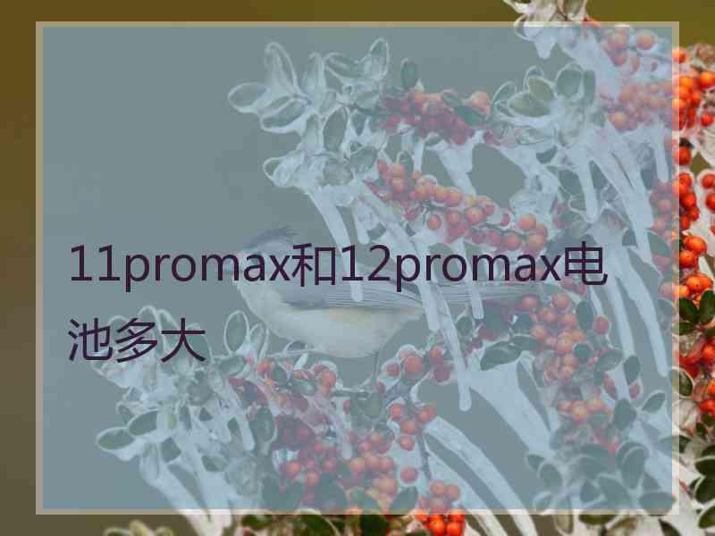 11promax和12promax电池多大