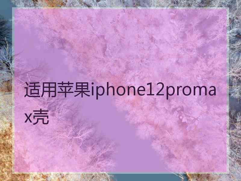 适用苹果iphone12promax壳