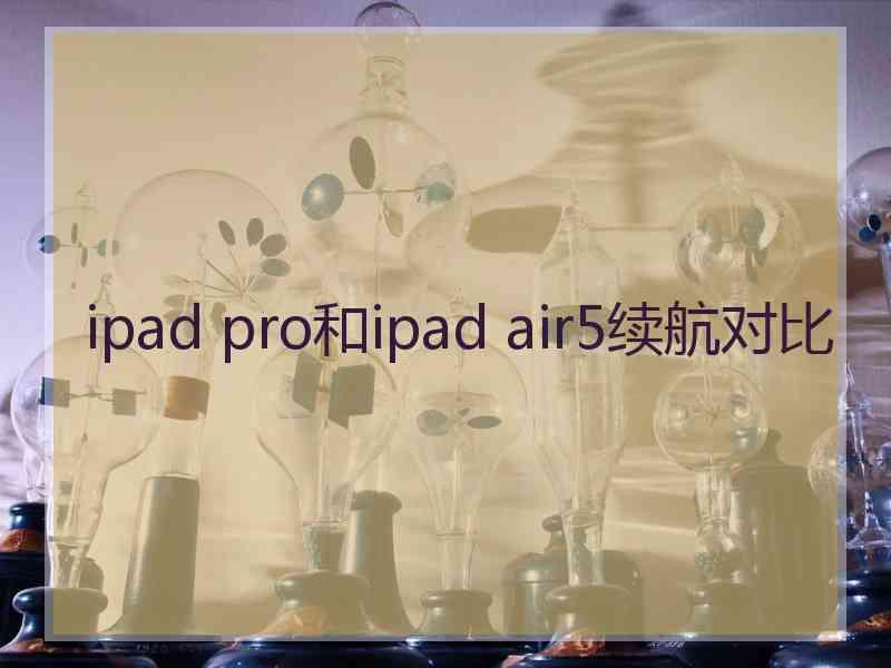 ipad pro和ipad air5续航对比