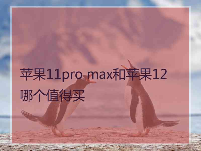 苹果11pro max和苹果12哪个值得买