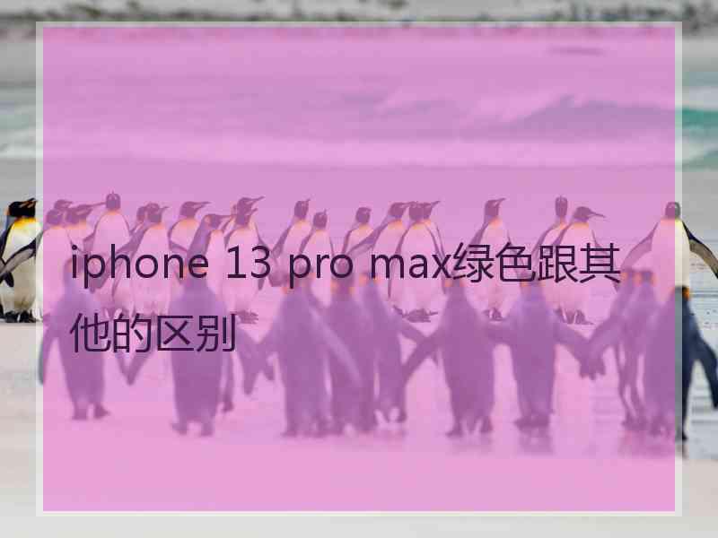 iphone 13 pro max绿色跟其他的区别