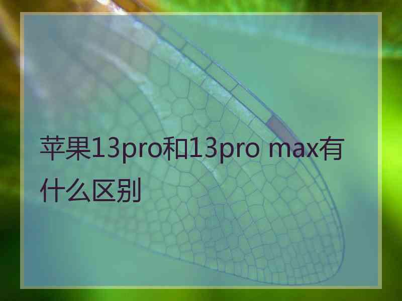 苹果13pro和13pro max有什么区别