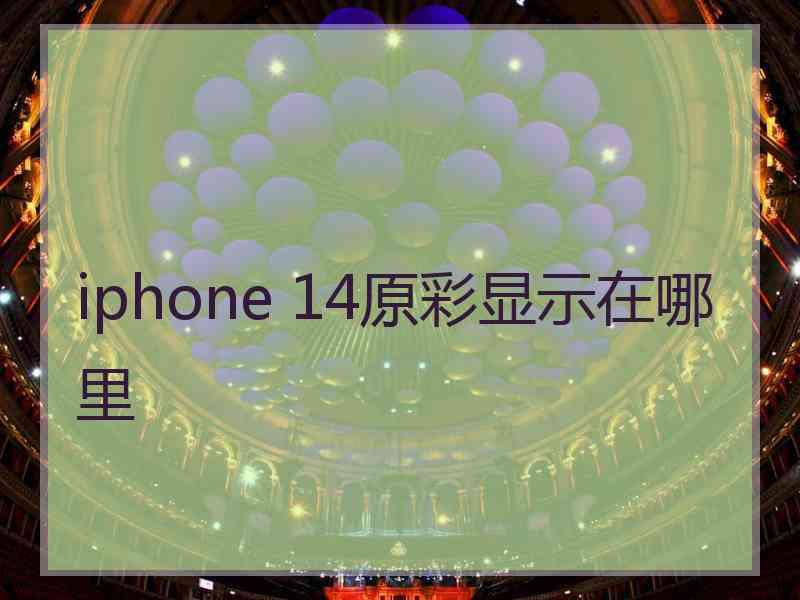 iphone 14原彩显示在哪里