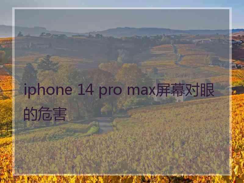 iphone 14 pro max屏幕对眼的危害