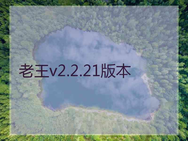 老王v2.2.21版本