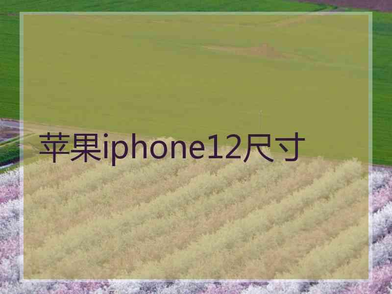 苹果iphone12尺寸