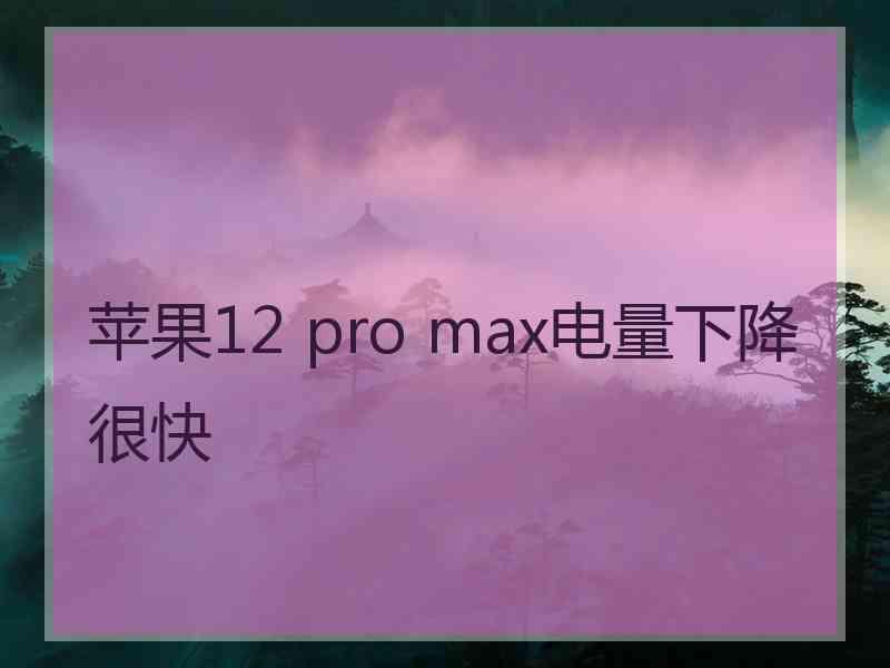 苹果12 pro max电量下降很快