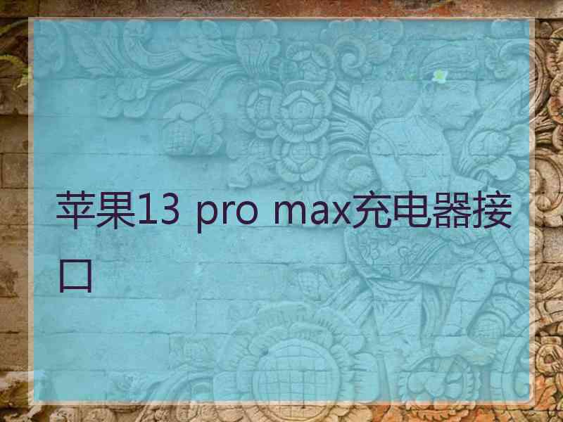 苹果13 pro max充电器接口