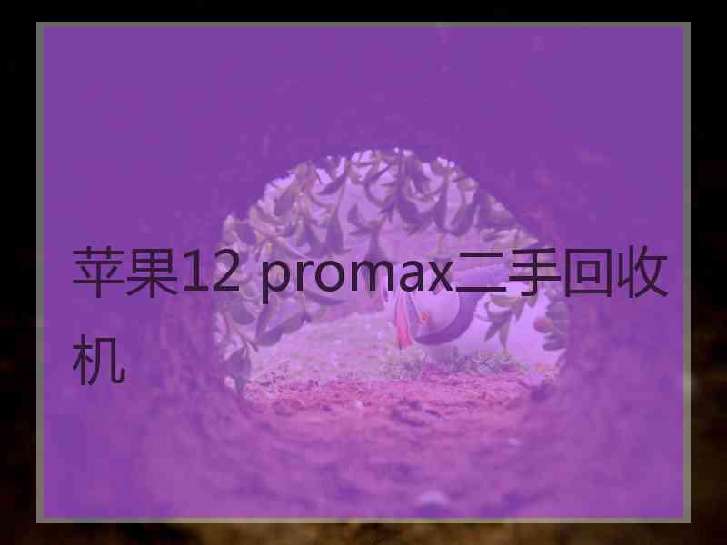 苹果12 promax二手回收机