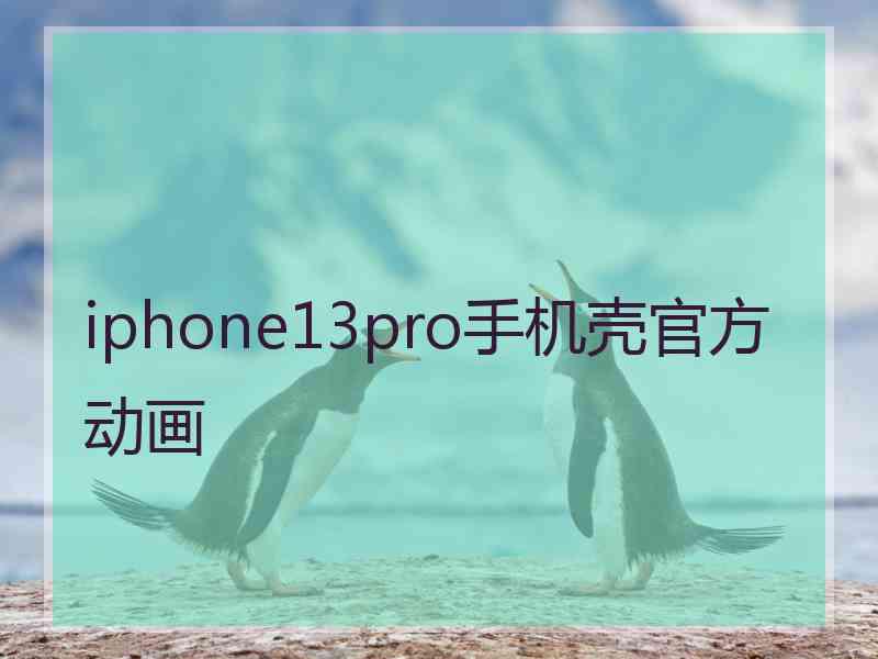 iphone13pro手机壳官方动画