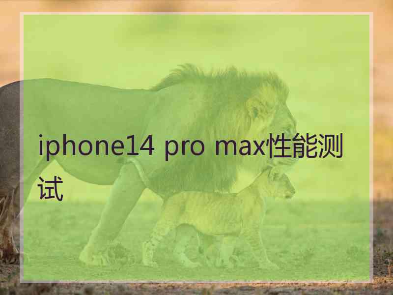 iphone14 pro max性能测试