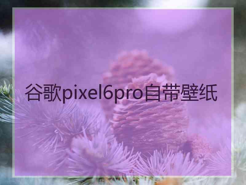 谷歌pixel6pro自带壁纸