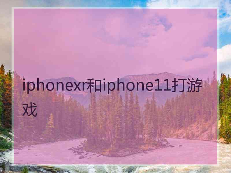 iphonexr和iphone11打游戏