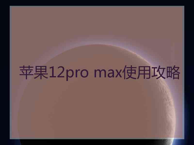 苹果12pro max使用攻略