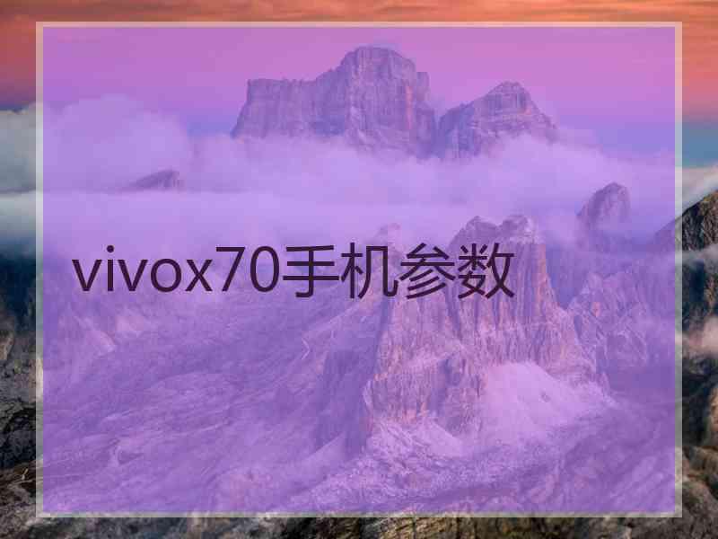 vivox70手机参数