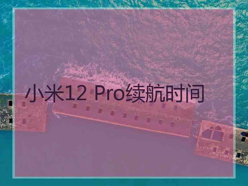 小米12 Pro续航时间