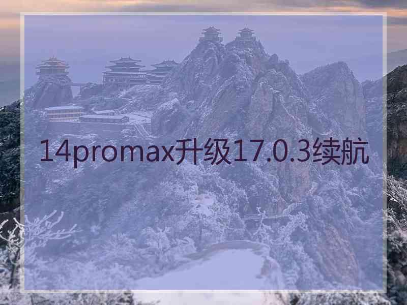 14promax升级17.0.3续航