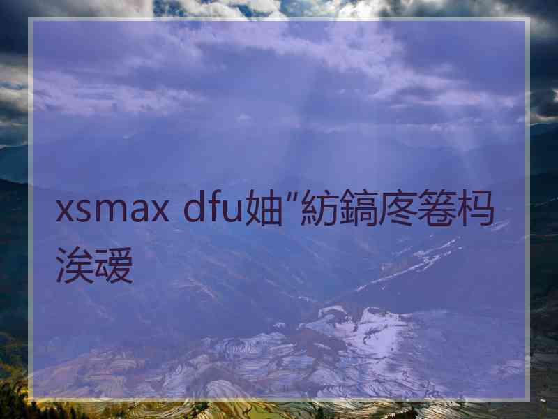 xsmax dfu妯″紡鎬庝箞杩涘叆