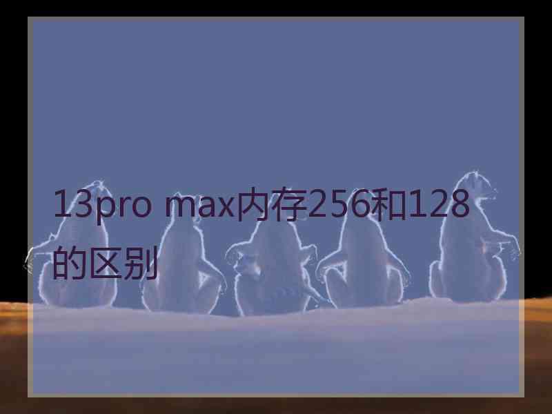 13pro max内存256和128的区别