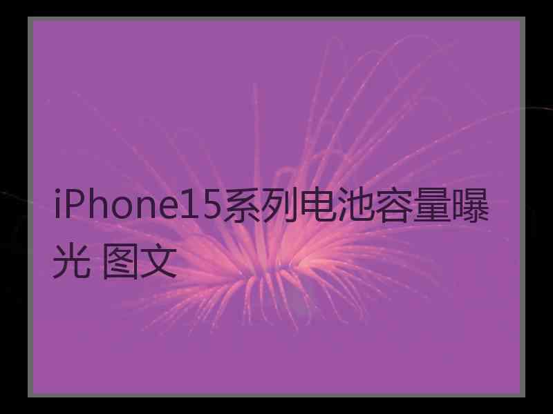 iPhone15系列电池容量曝光 图文