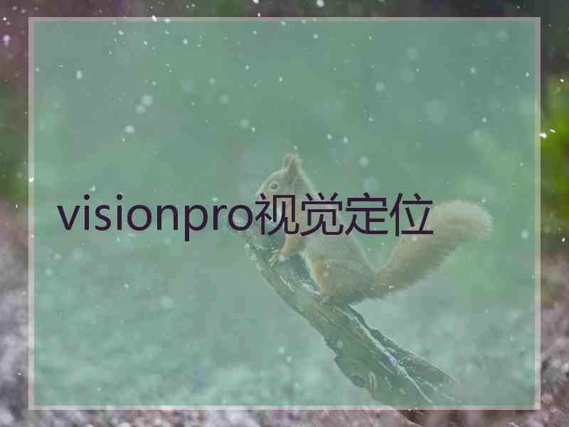 visionpro视觉定位