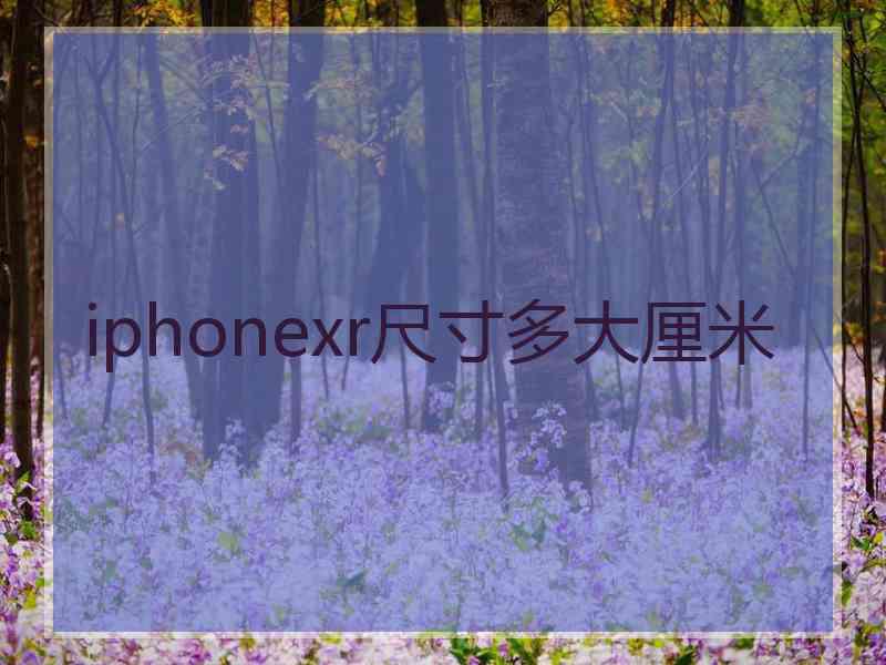 iphonexr尺寸多大厘米