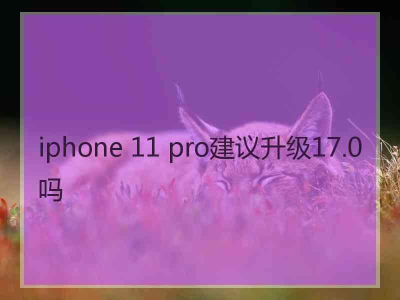 iphone 11 pro建议升级17.0吗