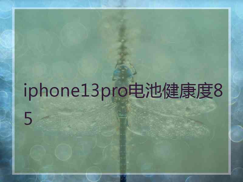 iphone13pro电池健康度85