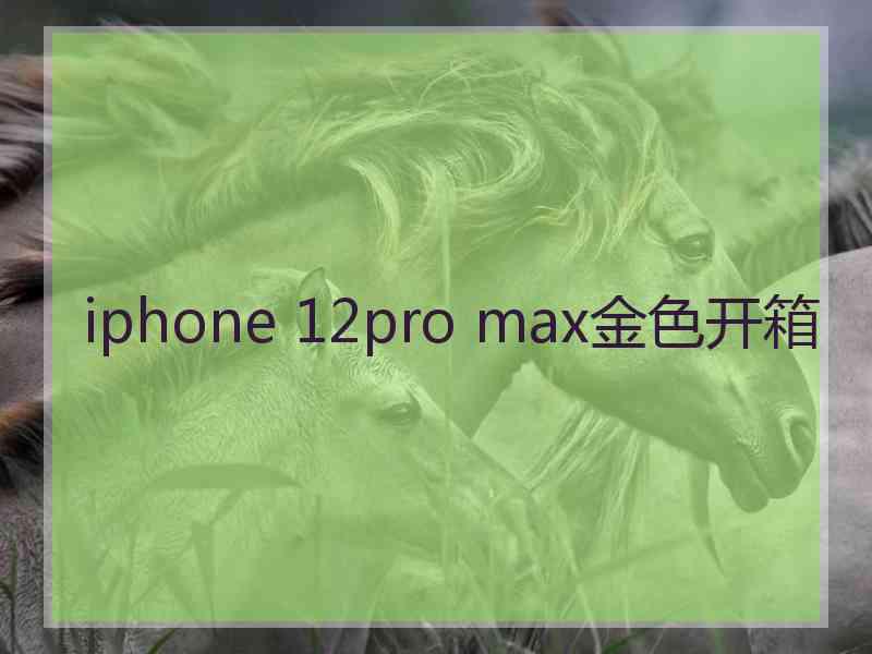 iphone 12pro max金色开箱