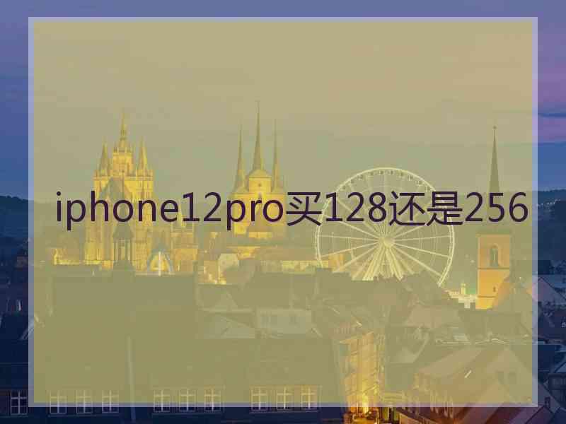 iphone12pro买128还是256