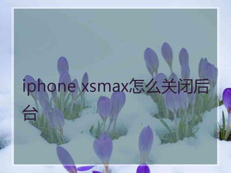 iphone xsmax怎么关闭后台