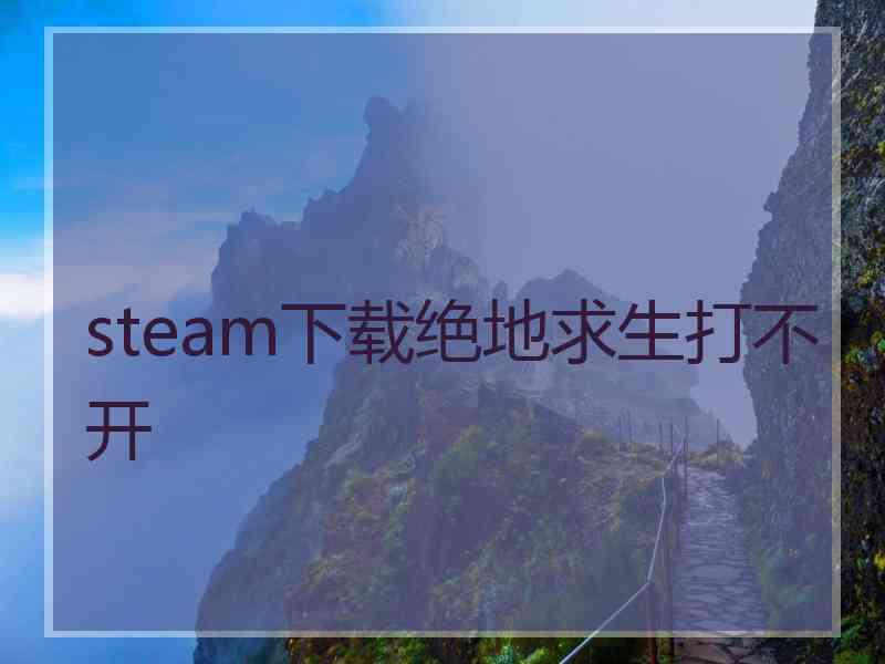 steam下载绝地求生打不开